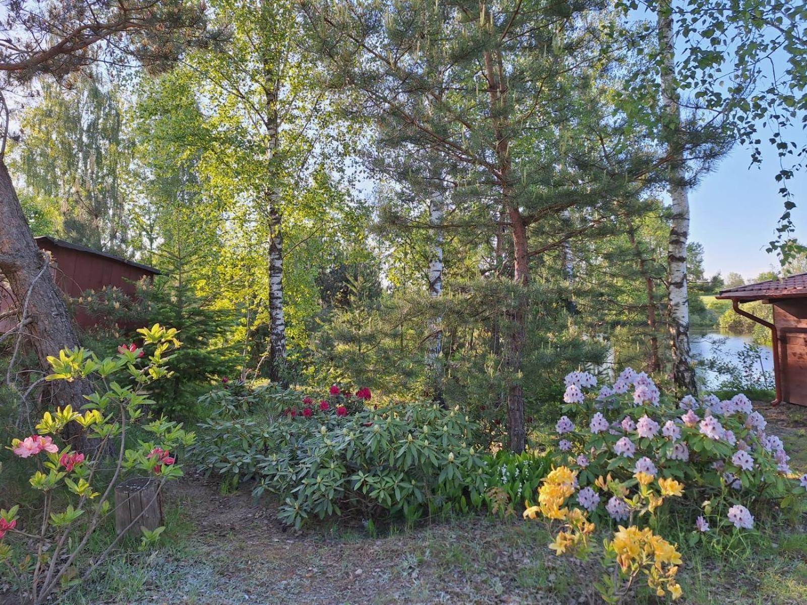 Borowy Zakatek Villa Stara Kiszewa Exterior photo